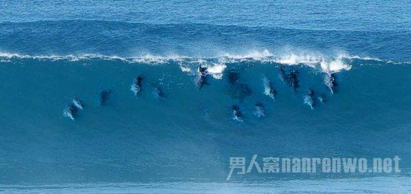 鸡蛋糕都可以怎么做游戏画面
